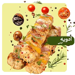 چاشنی های کبابی