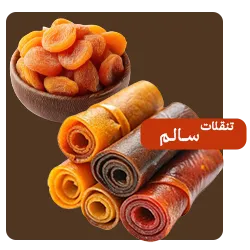 تنقلات سالم