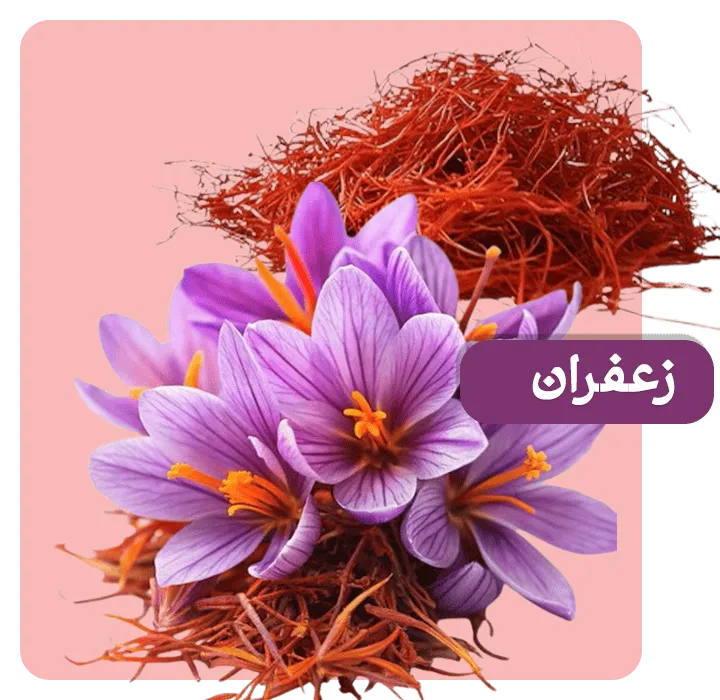 بنر فروشگاه