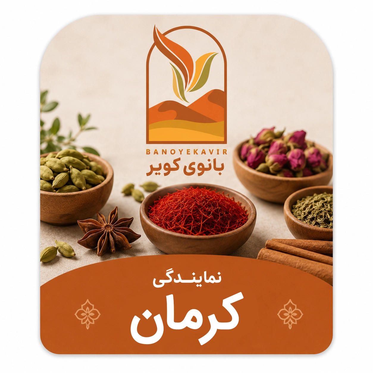 نماینده کرمان