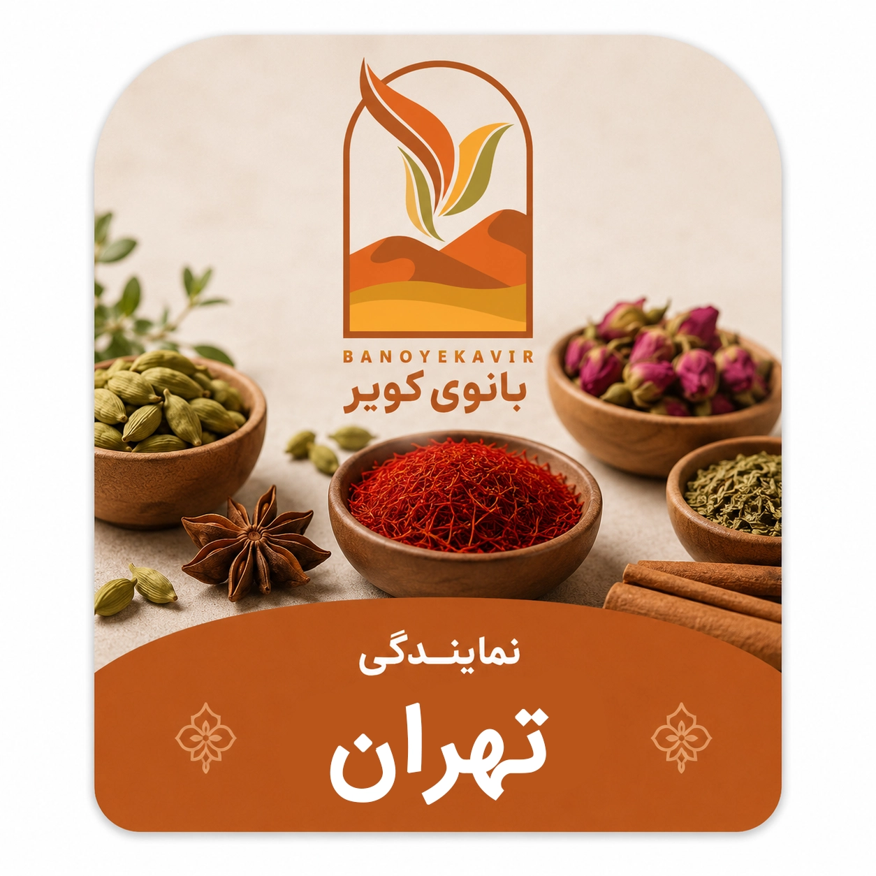 نماینده تهران