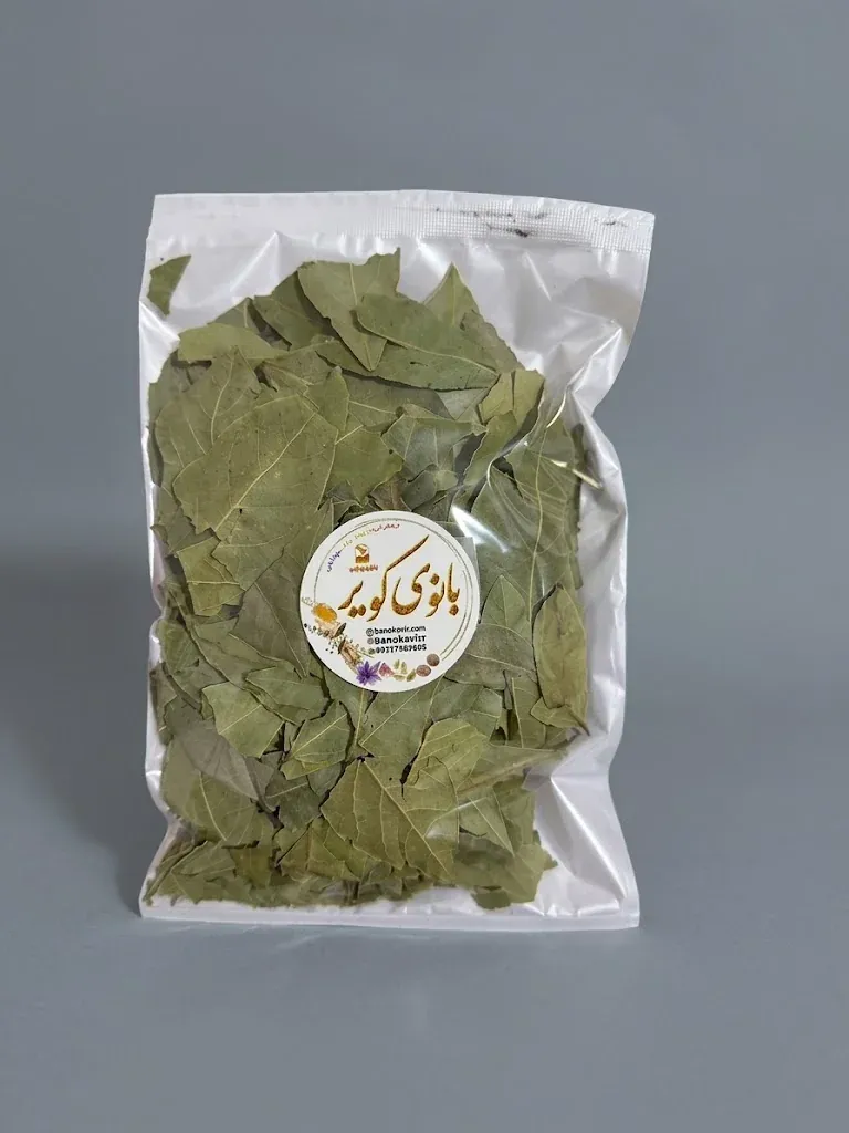 برگ بو شکسته